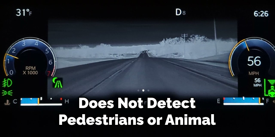Does Not Detect Pedestrians or Animal