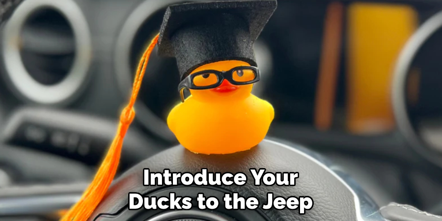 Introduce Your Ducks to the Jeep