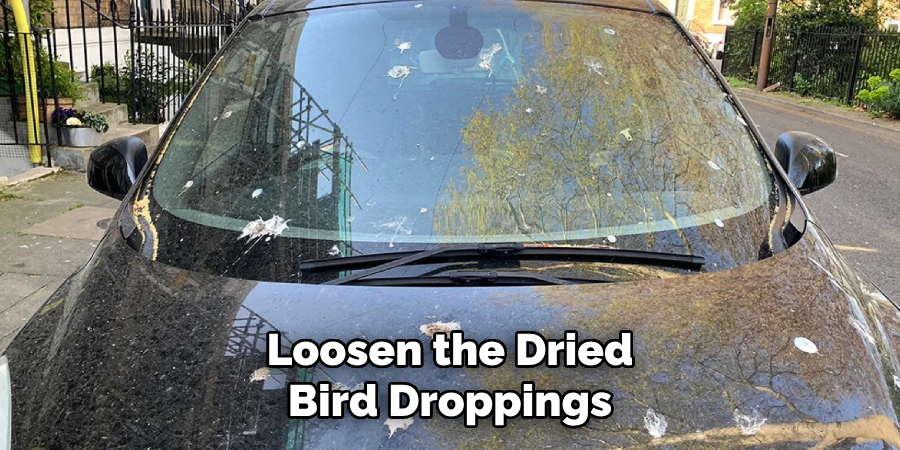 Loosen the Dried Bird Droppings