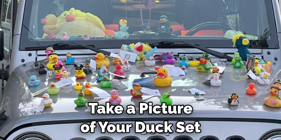 Take a Picture of Your Duck Set