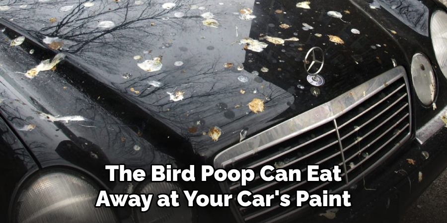 The Bird Poop Can Eat Away at Your Car's Paint
