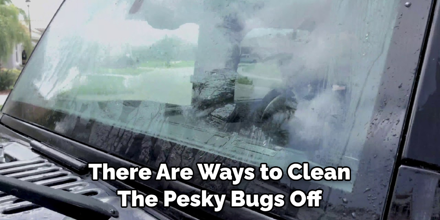 There Are Ways to Clean The Pesky Bugs Off