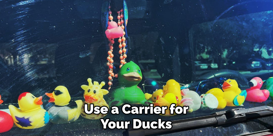 Use a Carrier for Your Ducks