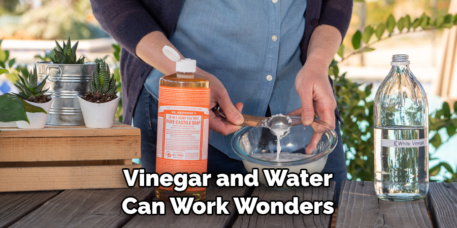 Vinegar and Water Can Work Wonders