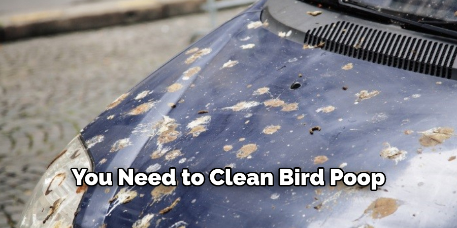 You Need to Clean Bird Poop