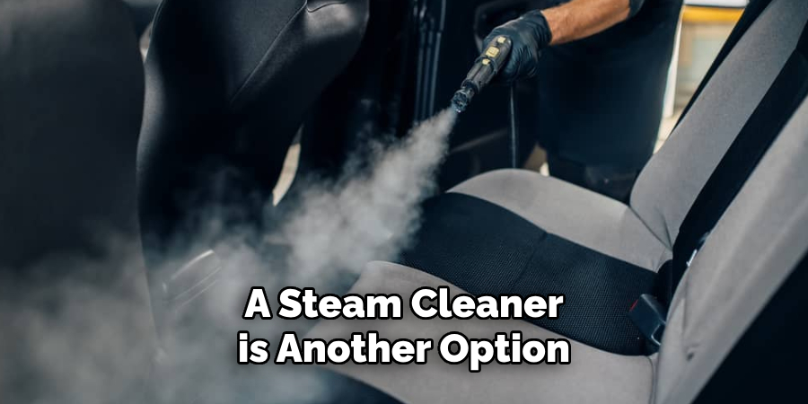 A Steam Cleaner is Another Option