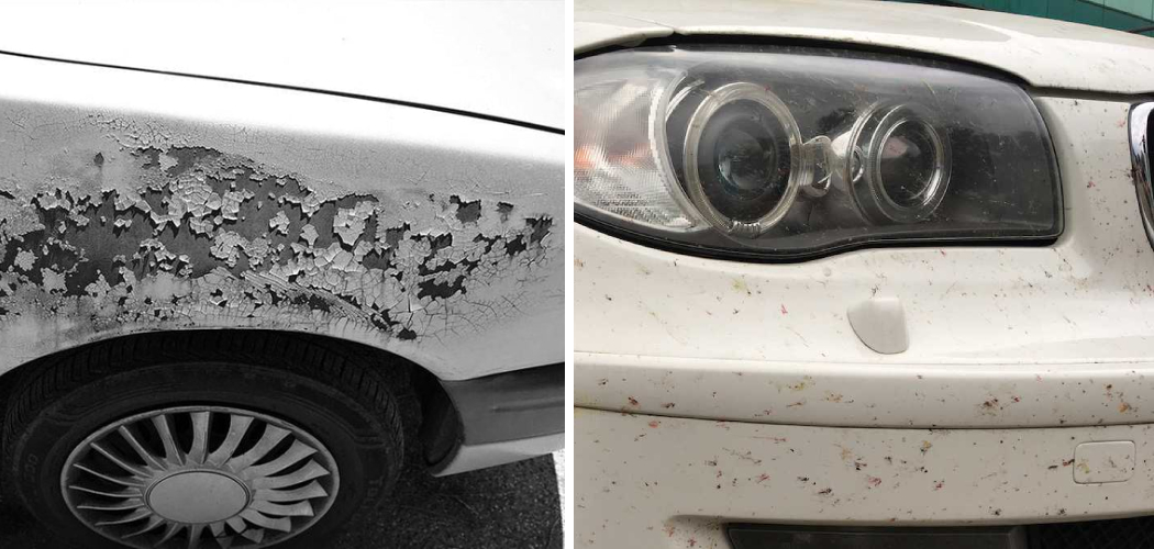 How to Remove Dirt Stains From White Car Paint
