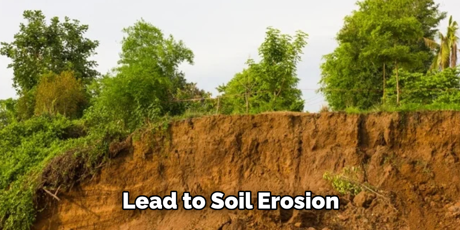 Lead to Soil Erosion