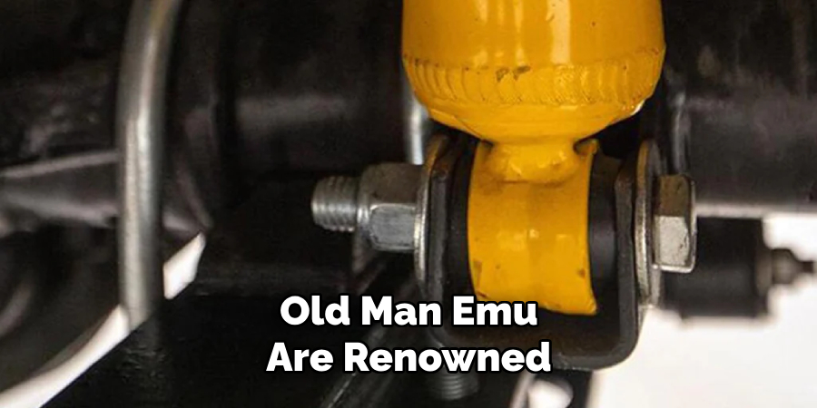 Old Man Emu Are Renowned