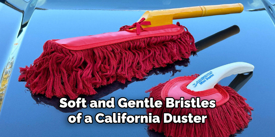 Soft and Gentle Bristles of a California Duster