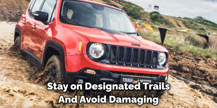 Stay on Designated Trails And Avoid Damaging